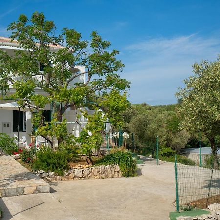 Apartament Kuca Za Odmor Denona Borovići Zewnętrze zdjęcie
