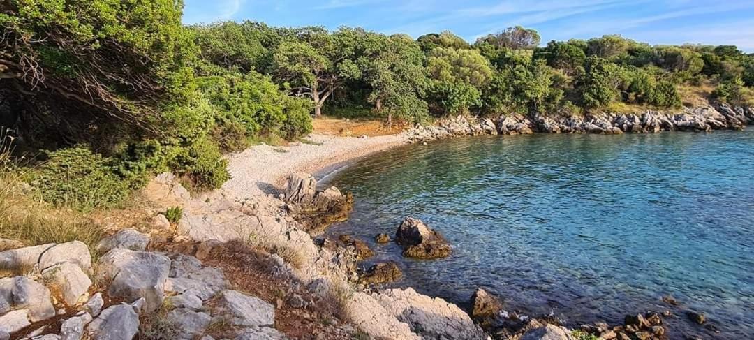 Apartament Kuca Za Odmor Denona Borovići Zewnętrze zdjęcie